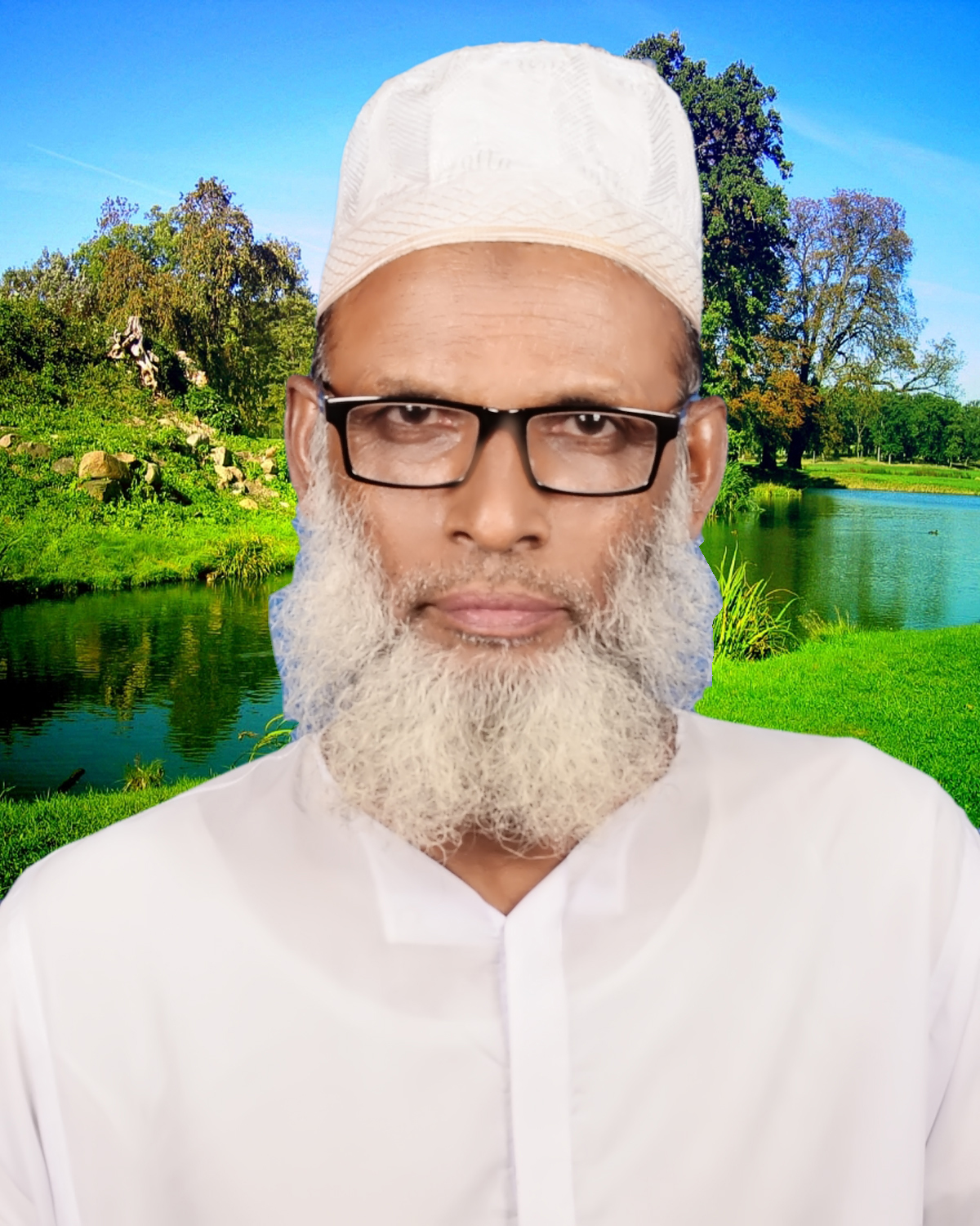 11111 Nurul New Tree